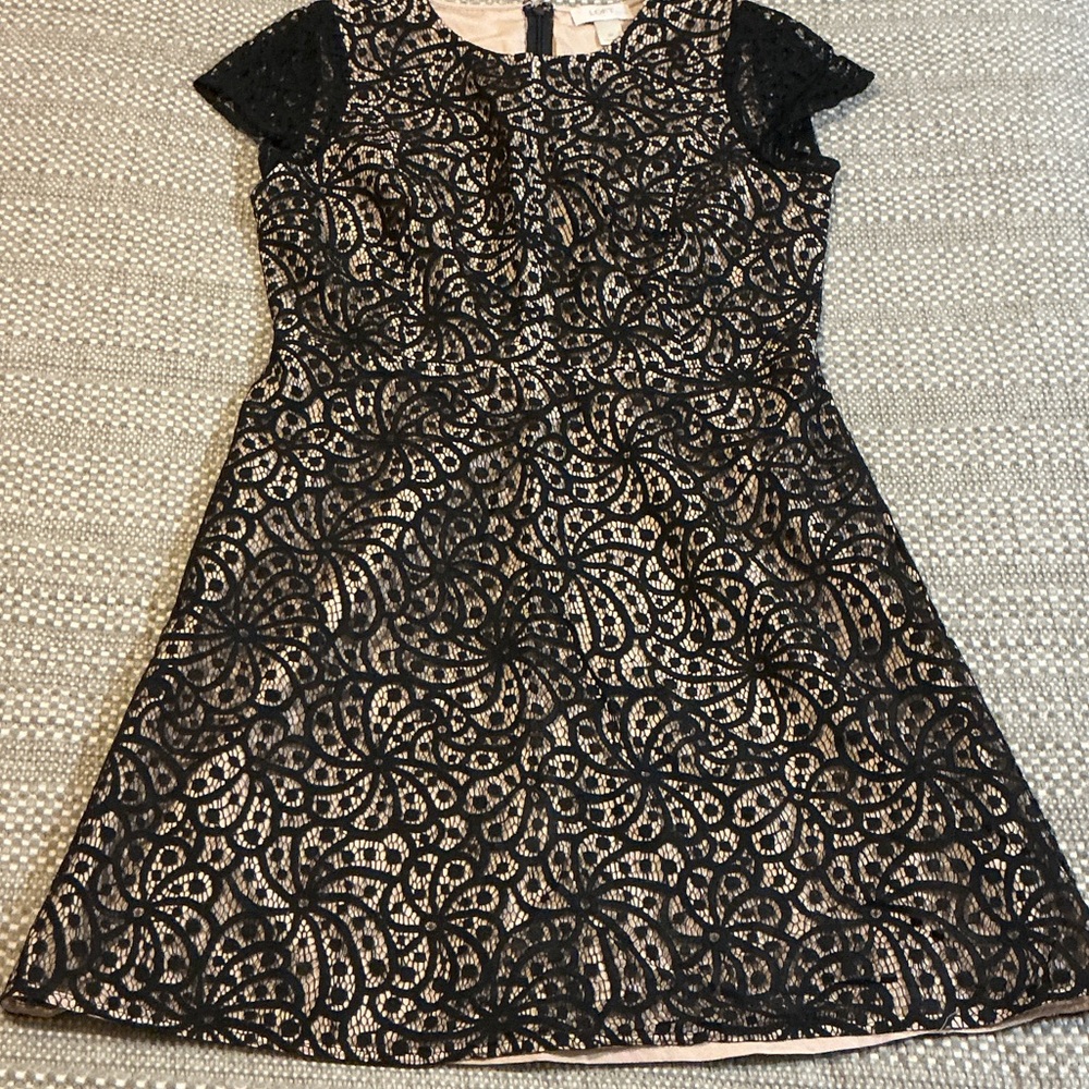 LOFT Black and Tan Lace Dress for Women